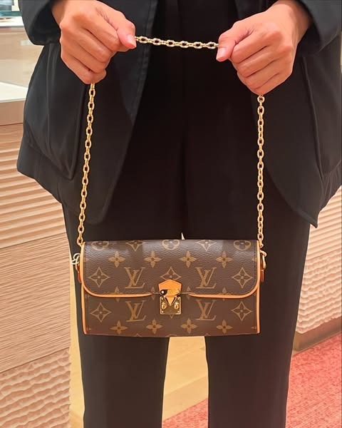 LV Pochette Camille 20.5 _ 11 _ 6 cm